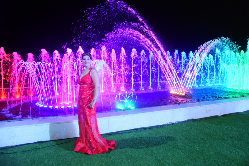 Wedding of Joe & Fida-Celebration